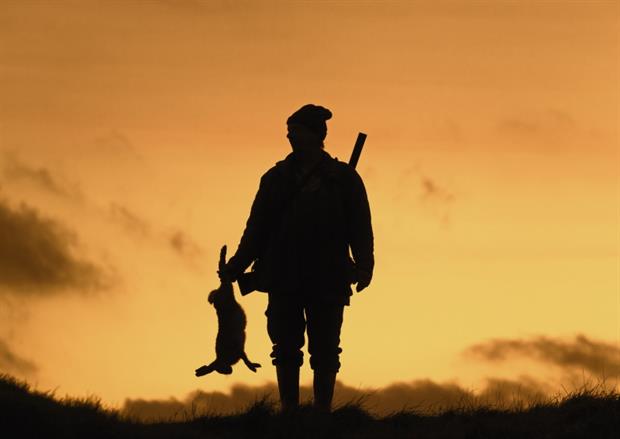 A hunter carries a dead hare: The European Commission has proposed phasing out the use of lead shot in wetland areas. Photograph: Arterra/Getty Images