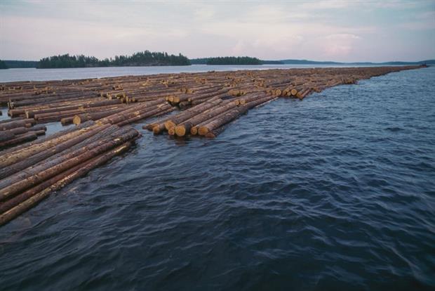 A long column of floating logs on Lake Saimaa, Finland. Campaigners and MEPs are disappointed by how forestry has been approached in the green taxonomy. Photo: Dea / V Giannella / Getty