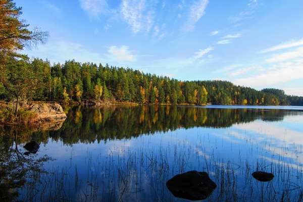 Nature: Finland - Repovesi National Park (JR)