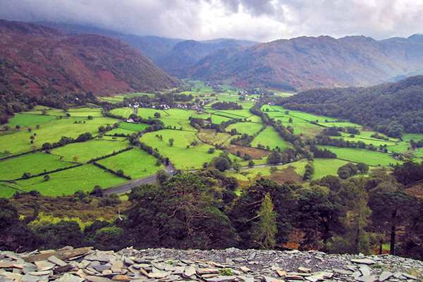 Nature: UK - Lake District 2 (JR)
