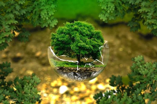 Fragile environment - Tree in cracked glass sphere