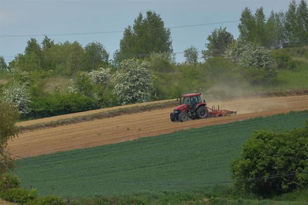 Report: intensification of agriculture is one of the main causes of biodiversity loss, say auditors (Photo by Artur Widak/NurPhoto via Getty Images)