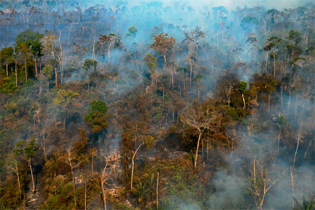 Amazon destruction: has broken through into mainstream political discourse (Photo by FLORIAN PLAUCHEUR/AFP via Getty Images)