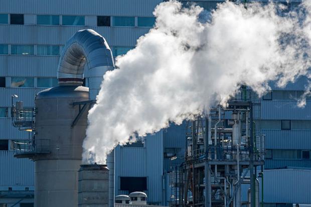 Chemicals: committee backed cross-party motion calling for increased protection for protection for children, pregnant women and the elderly (Photo by: Arterra/Universal Images Group via Getty Images)