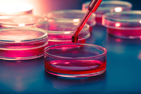 Chemicals, testing (photograph: Luchschen/123RF)