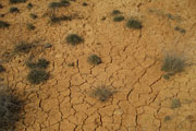 Climate, drought 2