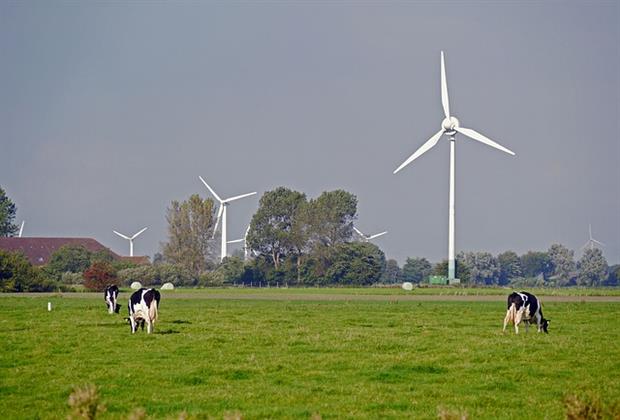 Renewables - German wind farm on field with cows (Pixabay)