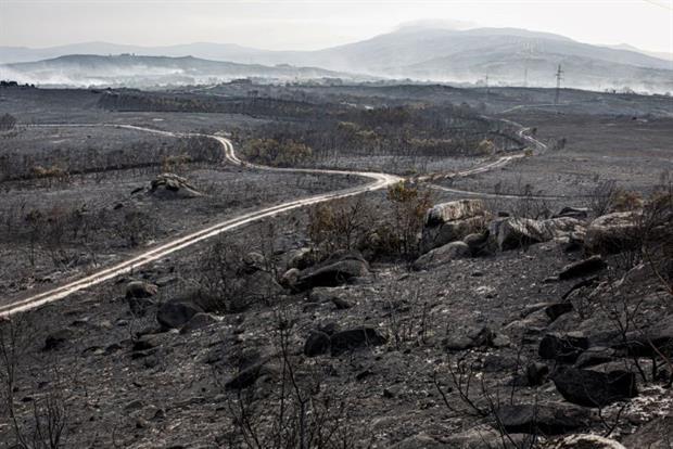 The aftermath of a fire in Cualedro, Spain, in September: Europe's habitats are facing unprecedented destruction, in part due to climate change, the EEA has warned. Photo: Brais Seara Fernandez/Getty