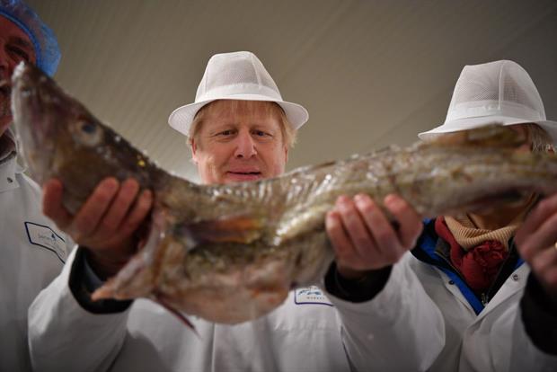Boris Johnson holding aloft a cod in December 2019. Europe waits with baited breath to see whether the UK and EU can overcome their differences on post-Brexit fishing rights. Photo: Ben Stansall/WPA Pool/Getty Images