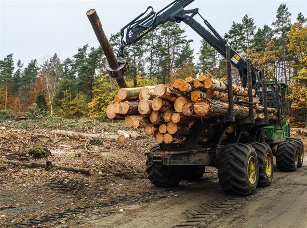 Forest clearance near Gdansk, Poland. Campaigners are concerned EU draft taxonomy criteria may encourage unsustainable bioenergy. Photo: Michal Fludra/NurPhoto via Getty Images