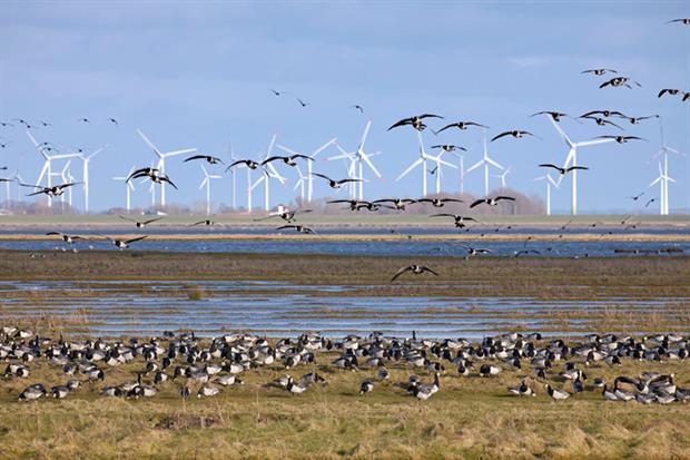 Wind power: sector fears ruling could scupper expansion plans (Photo by: Arterra/Universal Images Group via Getty Images)