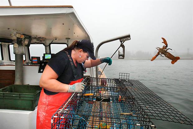 Lobster fishing practices are a threat to critically endangered right whales (Photo by Gregory Rec/Portland Portland Press Herald via Getty Images)