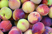 Peaches (credit: Dmytro Nikitin/123RF)