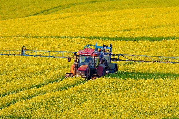 Pesticides: draft set to include specific target to halt and reverse the decline of pollinators (Photo by: Arterra/Universal Images Group via Getty Images)