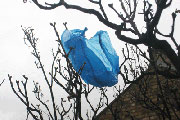 Plastic bag 3