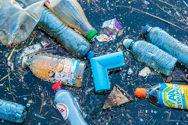 Waste: plastic litter in water (photograph: mediagram/123RF)