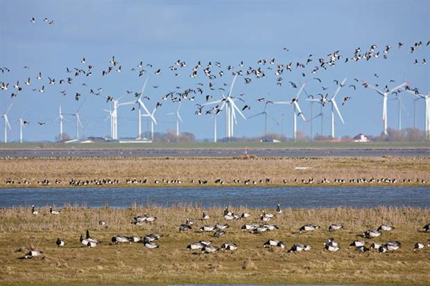 Renewables: green hydrogen production typically means electrolysing water using power from wind or solar into hydrogen and oxygen gas (Photo by: Arterra/Universal Images Group via Getty Images)