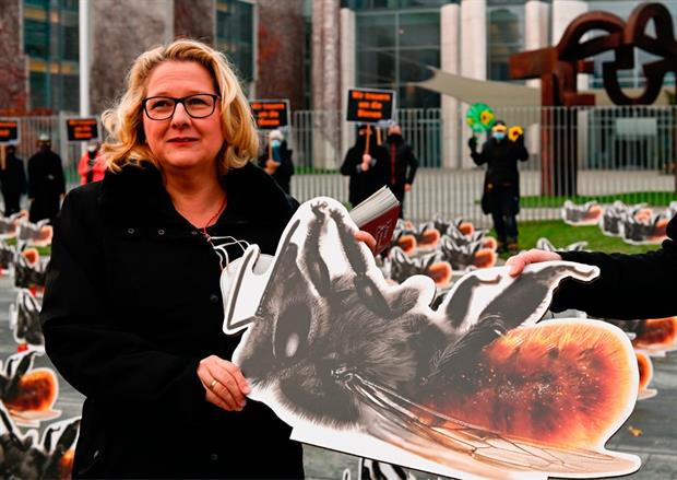 Schulze outside the chancellery in Berlin, December 2020. “If you had told me five years ago that we would be discussing how to protect insects to this extent, I would have probably not believed it.” Photo: Tobias Schwarz/AFP via Getty Images