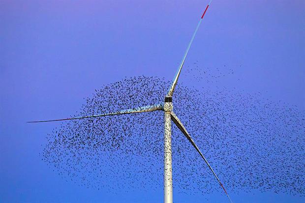 In 2019 the EU came close to meeting its target to meet 20% of its overall energy needs through renewables (Photo by: Arterra/Universal Images Group via Getty Images)