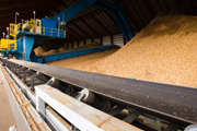 Biomass, woodchip Credit: PSNH CC BY-ND 2.0