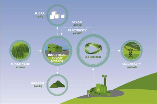 Sugarcane waste is a promising source of bioenergy in the tropics. Credit: Albioma