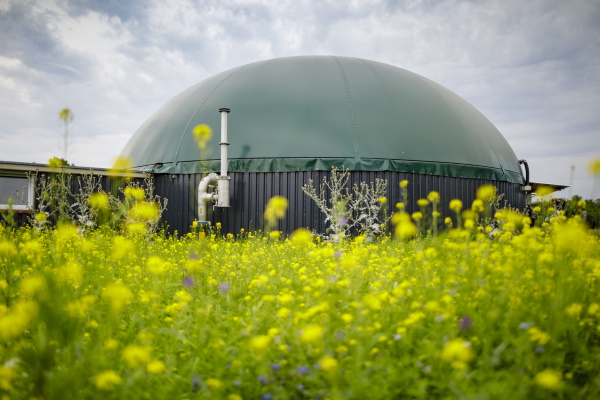 Whether its from biogas or fossil gas, leaking methane threatens the climate. Photograph: Thomas Trutschel / Photothek / Getty Images