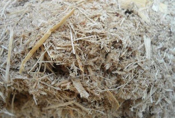 bagasse processed for energy recovery 
