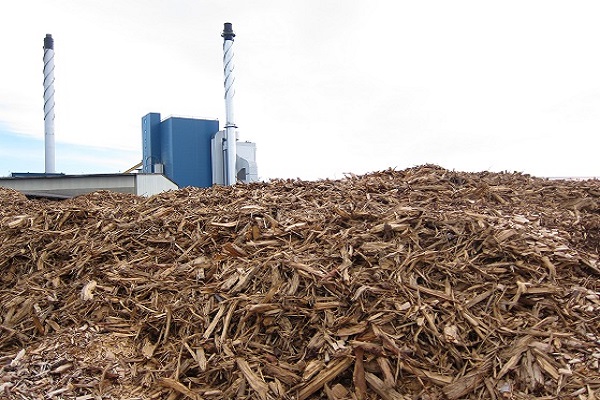 A biomass-fired plant