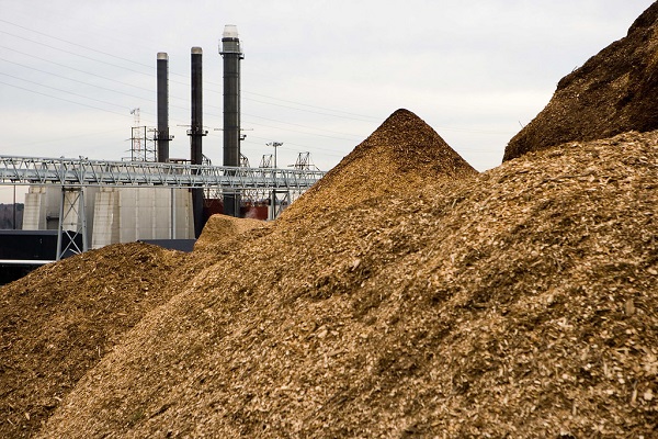 Biomass-to-energy