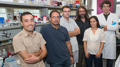 The team behind the research
