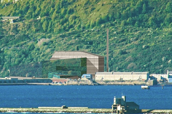 An artist's impression of the plant