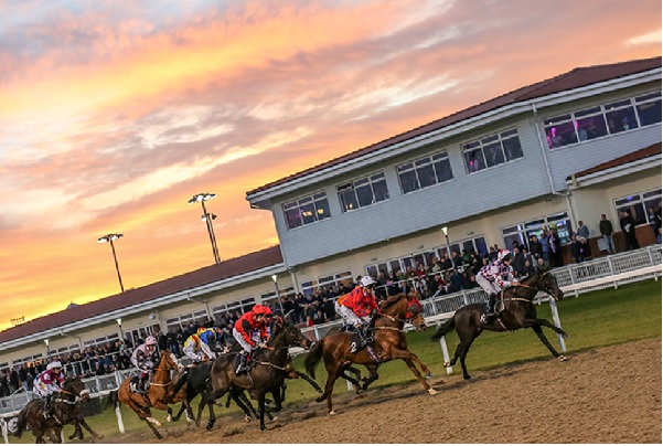 The plant could supply a race track, image copyright chelmsfordcityracecourse.com
