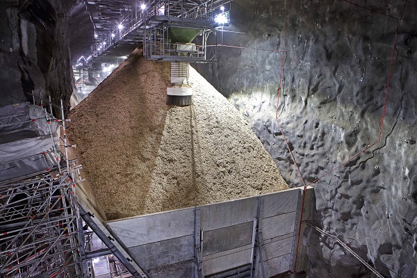 Biomass storage for the plant