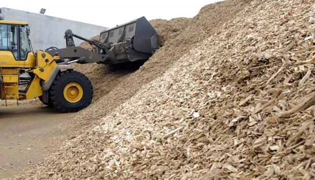 Waste wood ready to process