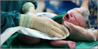 Photograph: iStockphoto
