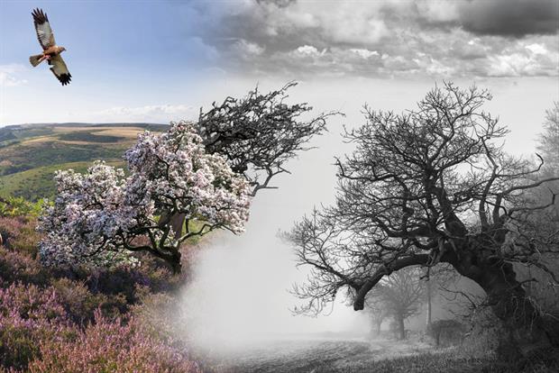 Rachel Carson's Silent Spring is credited with giving birth to the environmental movement in the US. Photograph: Getty Images