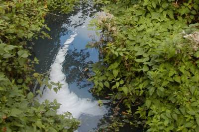 Detergent pollution in a tributary of the river Thames