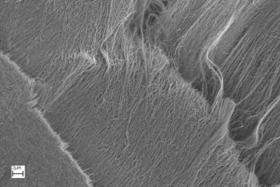 Carbon Nanotubes (Opensource Handbook of Nanoscience and Nanotechnology)