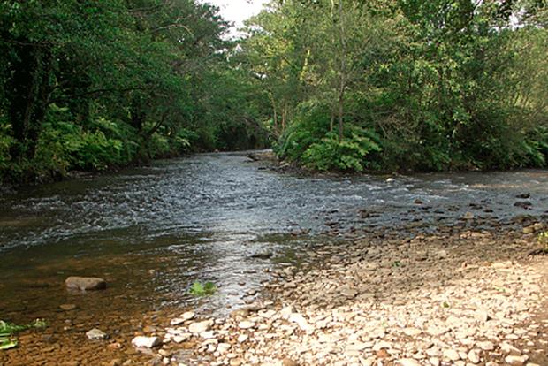 The Llynfi in happier times. Photograph: eswales/Geograph.org (CC BY-SA 2.0)