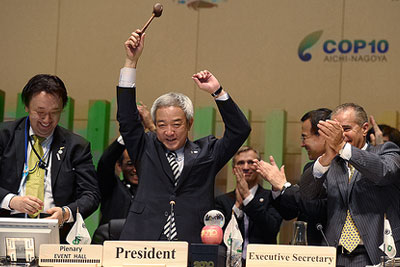 Japanese minister for environment and COP president Ryu Matsumoto, gavelling the meeting to a close. (Credit: Japanese government)