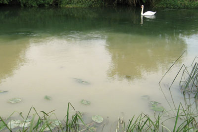Bydemill Brook