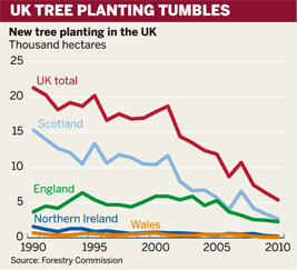 UK tree planting tumbles