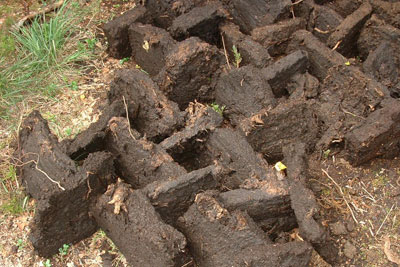 Peat, Jeff de Longe, CCA SA3