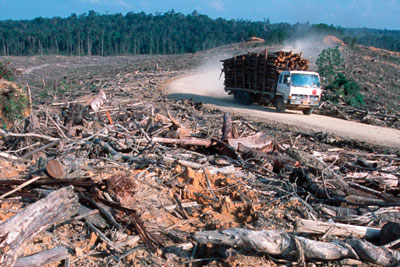 WWF