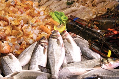 Mixed seafood display in fish monger (credit: Dreamstime)