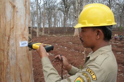 A logging inspector in Indonesia