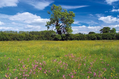 Clattinger Farm, near Swindon. Credit: David Hall