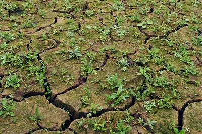 Anglian hopes its initiatives will enable it to better plan for severe drought (Courtesy of the Environment Agency)
