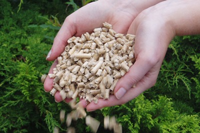 15,800 biomass boilers would be installed under DECC's grant scheme if they were the sole technology to benefit. Photo courtesy of ConFor.