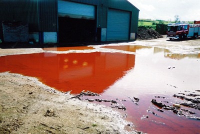 Oil spill on Gogs farm, near Leighton Buzzard. Credit: Environment Agency